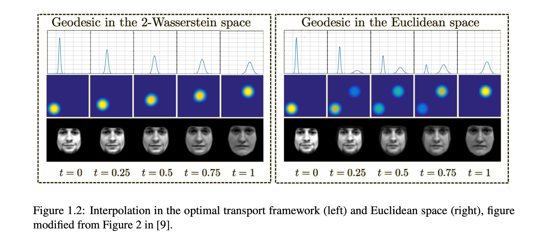 OT_interpolation