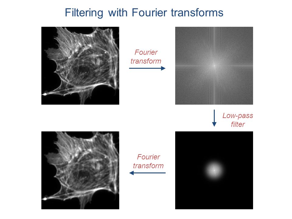 Filtering+with+Fourier+transforms